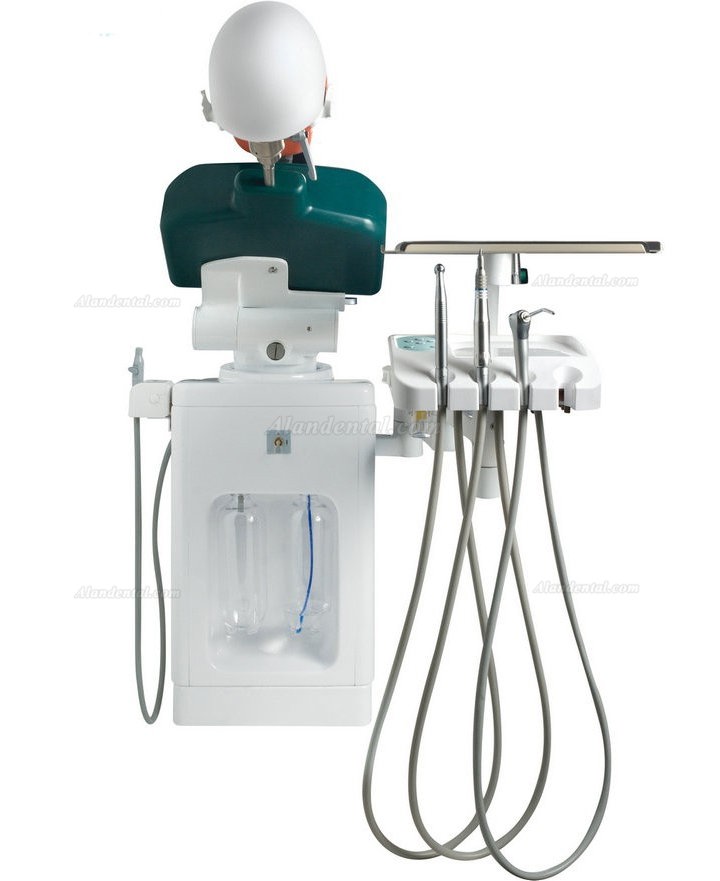 Jingle JG-A2 Dental Student Training Solution Surgery Practice Simulation Unit Compatible with Nissin Kilgore/Frasaco